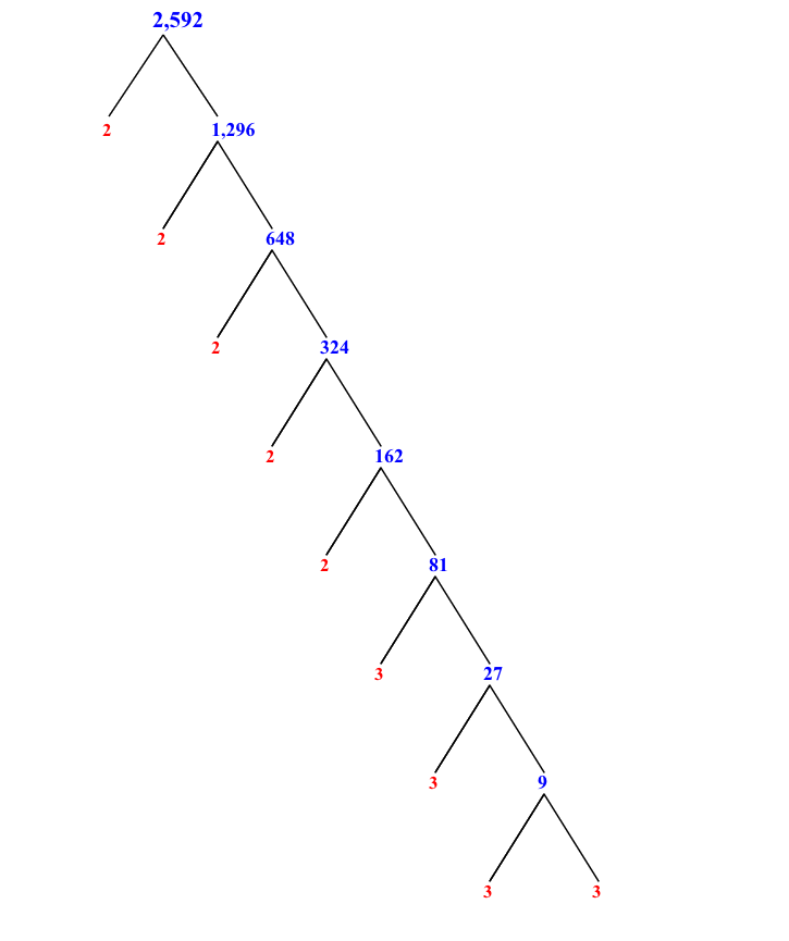 prime-factorization-of-2-592-with-a-factor-tree-mathondemand